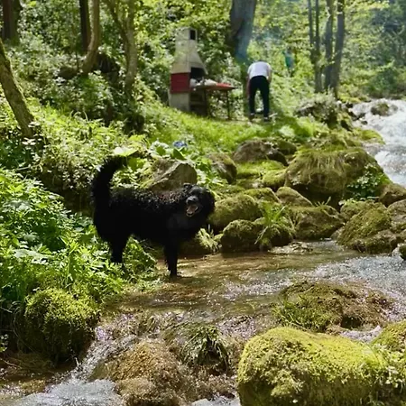 בית נופש Vikend Kuca Vrelo Miljacke