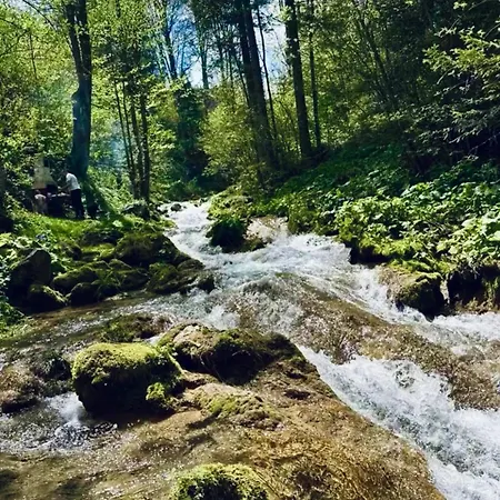 Vikend Kuca Vrelo Miljacke Pale