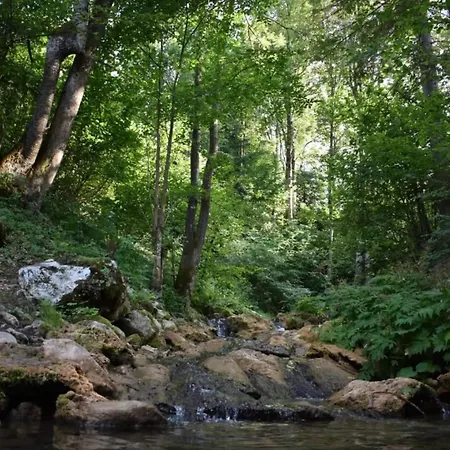 Vikend Kuca Vrelo Miljacke Tatil Evi