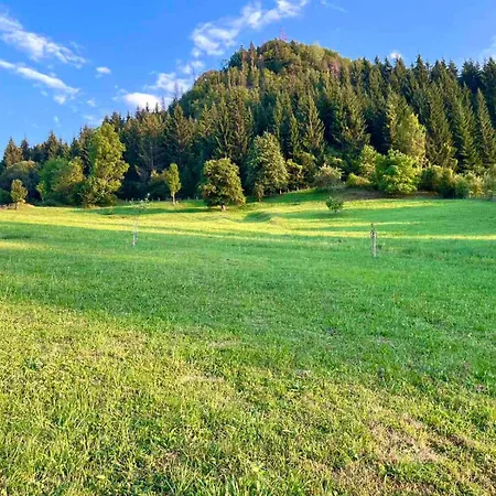 Vikend Kuca Vrelo Miljacke * パレ