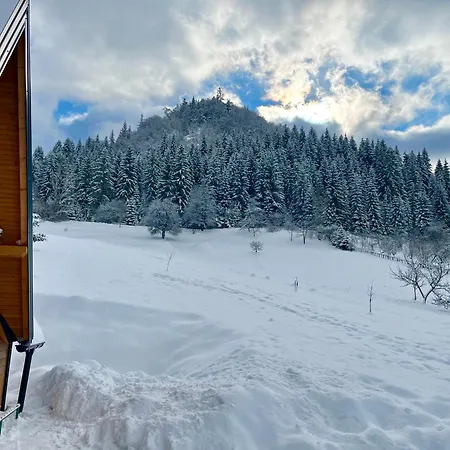 Vikend Kuca Vrelo Miljacke * パレ